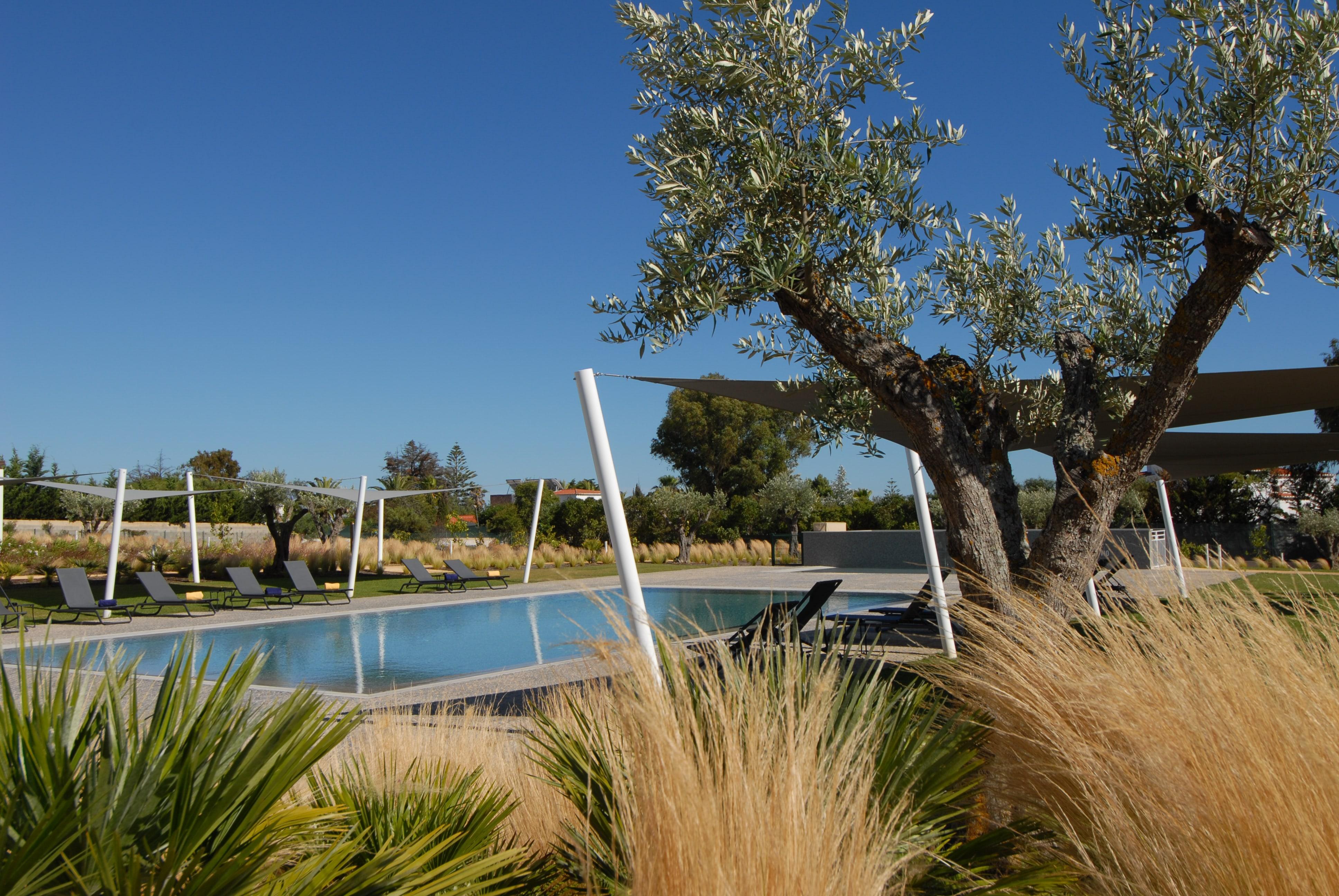 Quinta Do Algarvio Village Carvoeiro  Kültér fotó