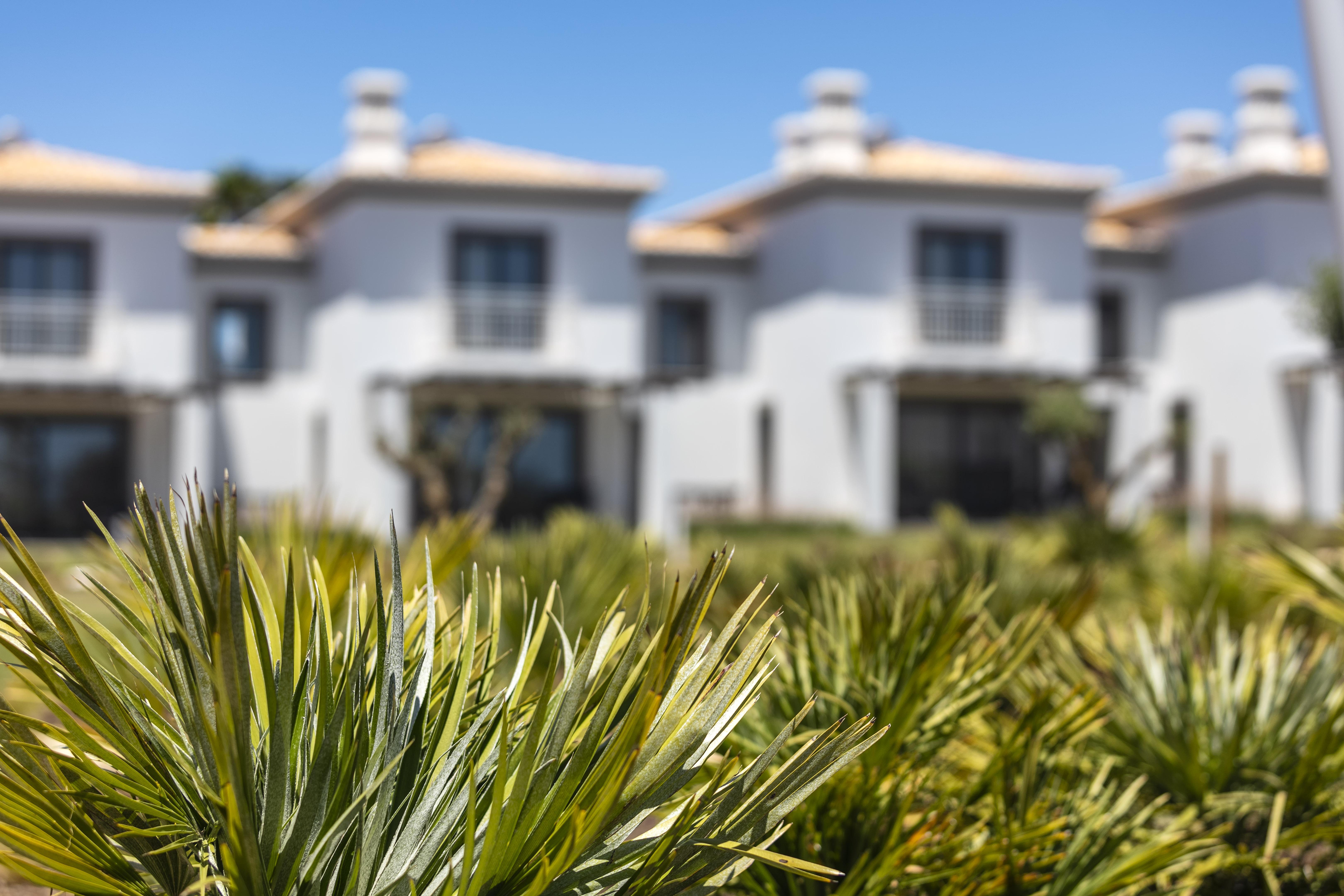 Quinta Do Algarvio Village Carvoeiro  Kültér fotó
