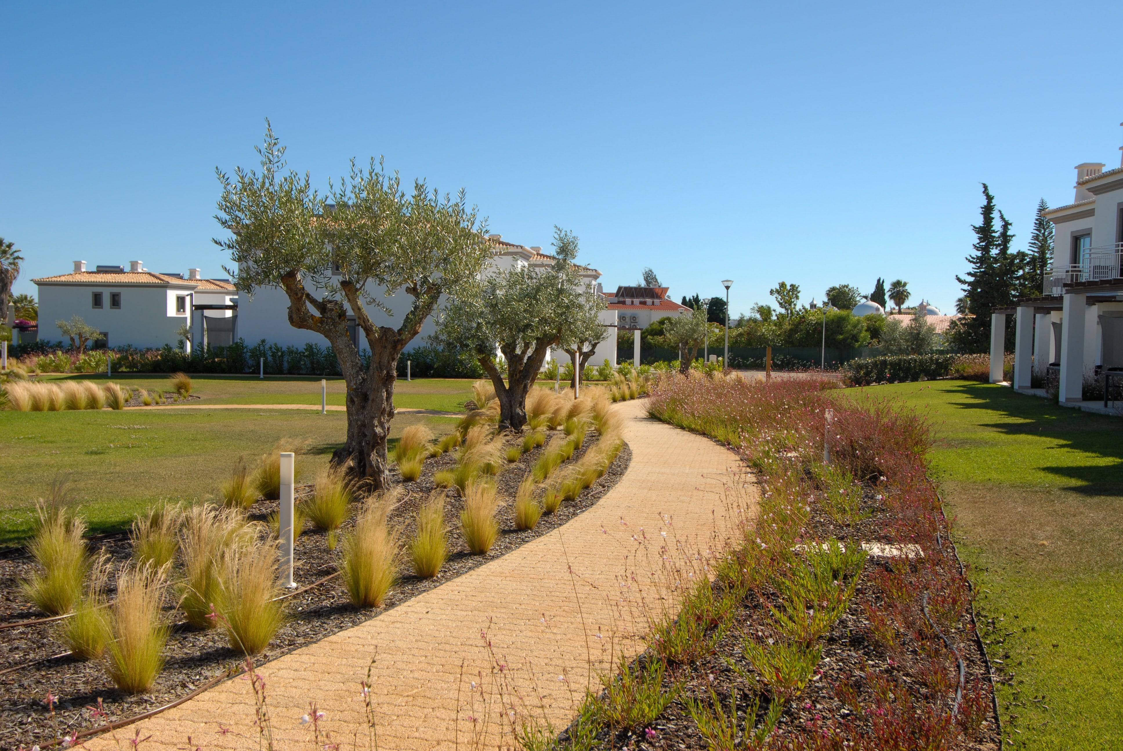 Quinta Do Algarvio Village Carvoeiro  Kültér fotó